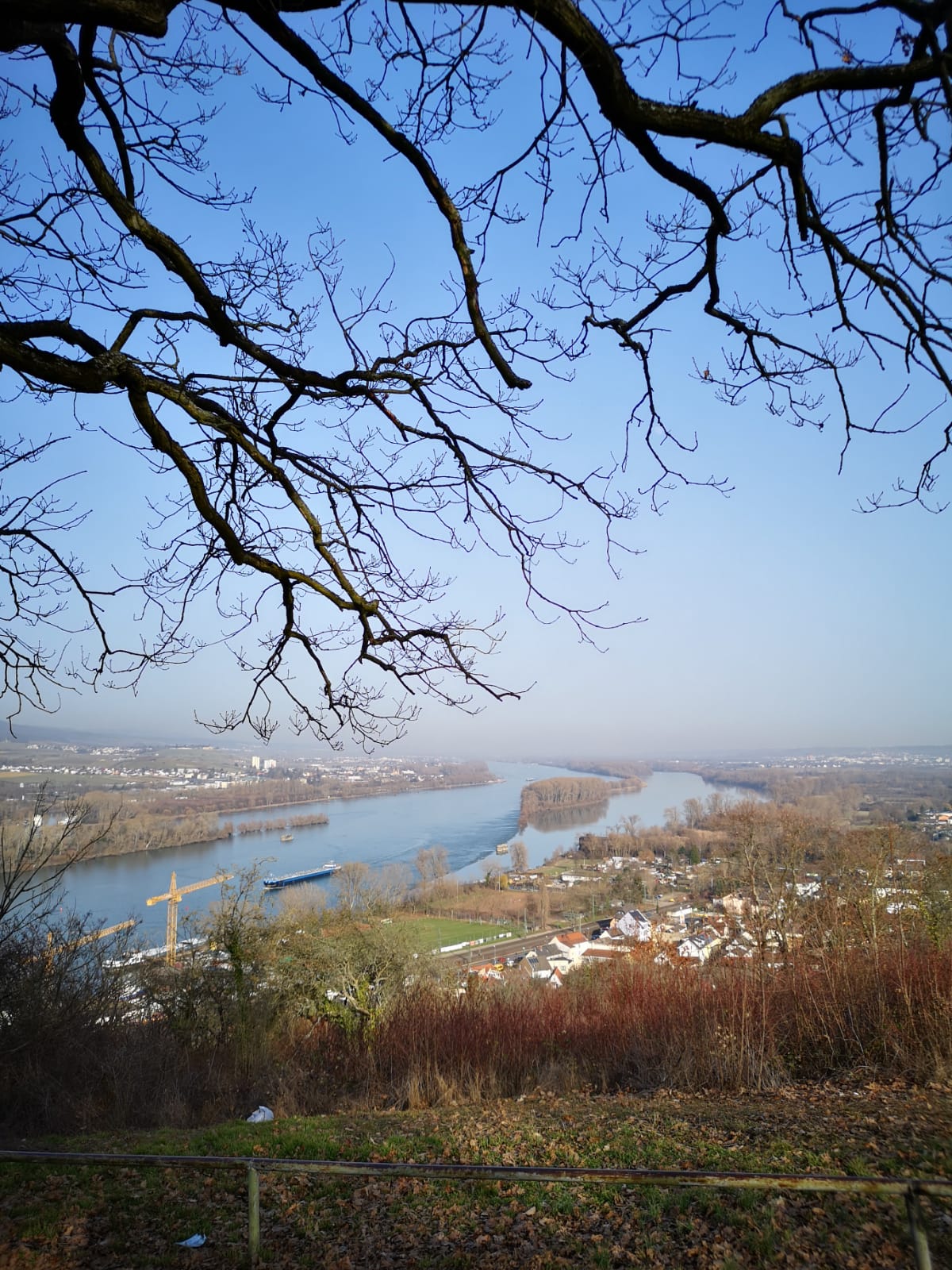Hildegard von Bingen, Pilgerwanderweg, Betriebsausflug.
