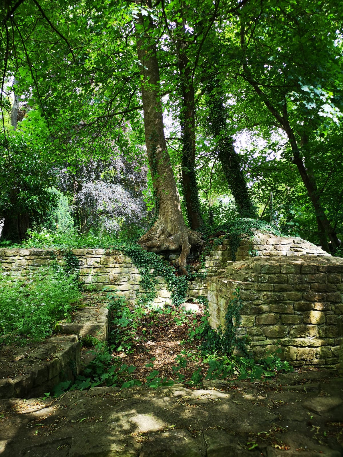 Pilgern, Wandern, Disibodenberg